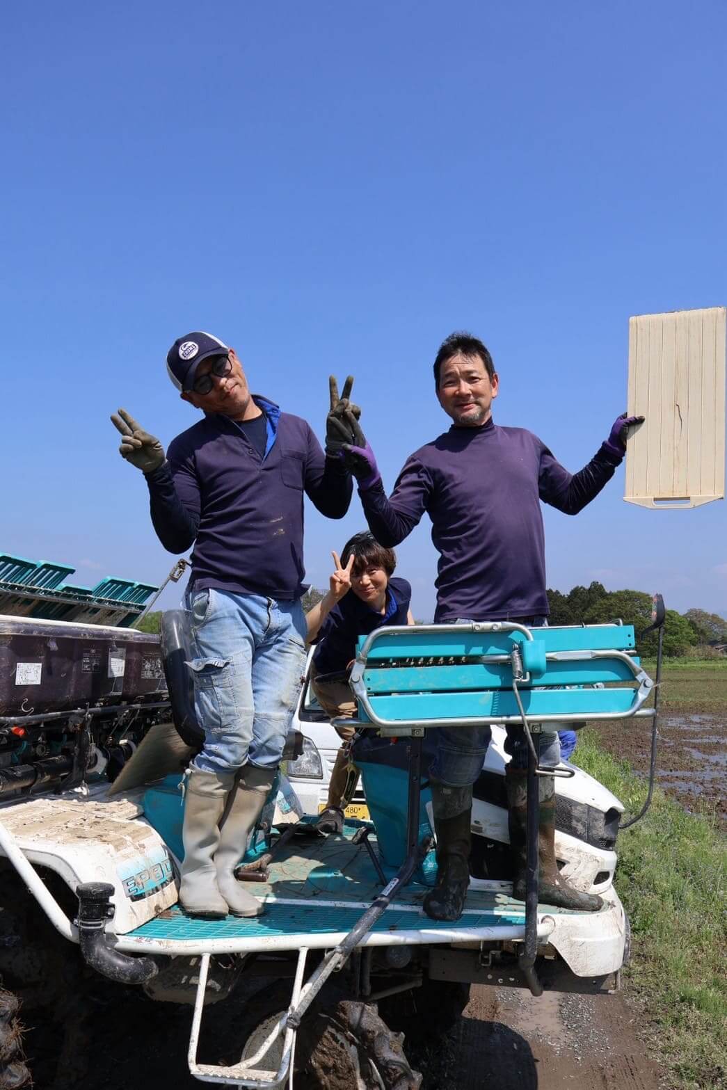 メル【業務用】疾風プラス 司化成工業株式会社 | 農業・畜産 はやて｜農業・畜舎・工場向け 扇風機・サーキュレーター